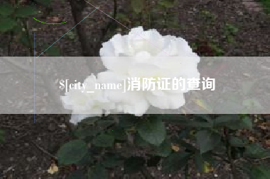 日喀则消防证的查询