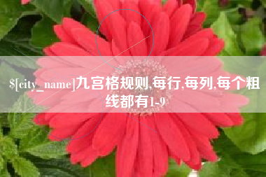 日喀则九宫格规则,每行,每列,每个粗线都有1-9