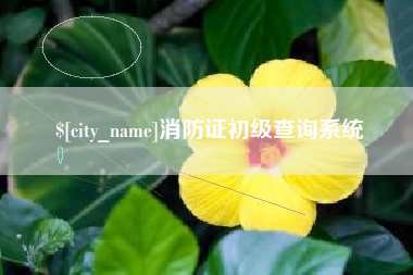 日喀则消防证初级查询系统