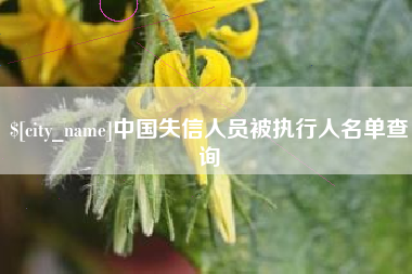 日喀则中国失信人员被执行人名单查询