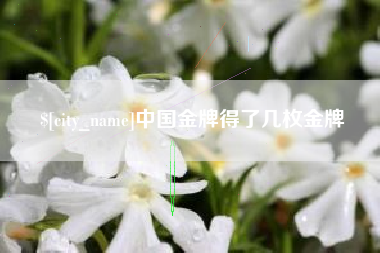 日喀则中国金牌得了几枚金牌
