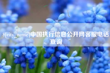 日喀则中国执行信息公开网客服电话查询