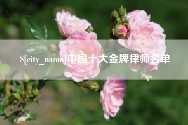 日喀则中国十大金牌律师名单