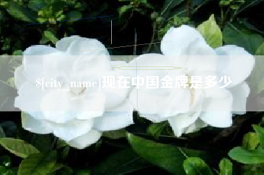 日喀则现在中国金牌是多少