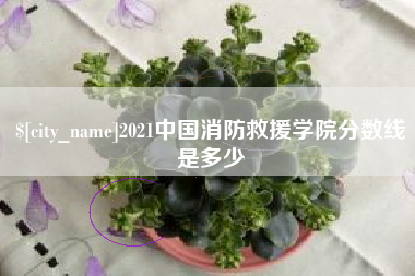 日喀则2021中国消防救援学院分数线是多少