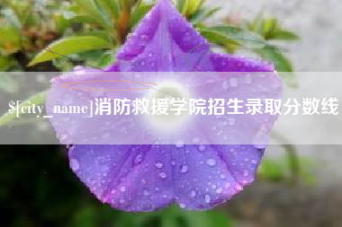日喀则消防救援学院招生录取分数线