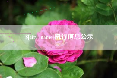 日喀则执行信息公示