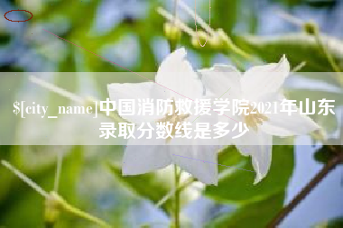 日喀则中国消防救援学院2021年山东录取分数线是多少