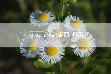 日喀则成都 消防
