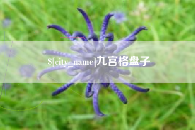 日喀则九宫格盘子