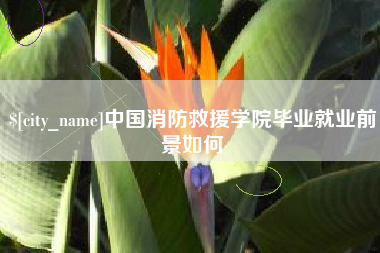日喀则中国消防救援学院毕业就业前景如何