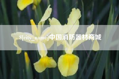 日喀则中国消防器材商城