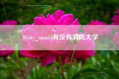 日喀则有没有消防大学