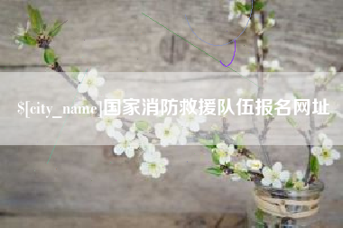 日喀则国家消防救援队伍报名网址