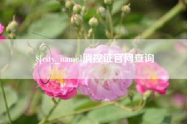日喀则消控证官网查询