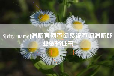 日喀则消防官网查询系统查询消防职业资格证书