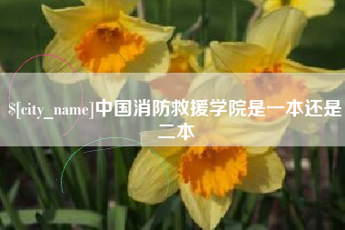 日喀则中国消防救援学院是一本还是二本