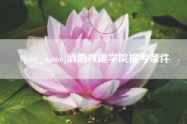 日喀则消防救援学院报考条件