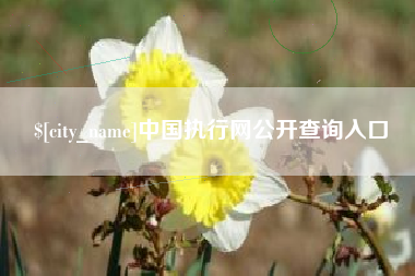 日喀则中国执行网公开查询入口