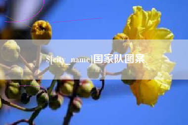 日喀则国家队图案