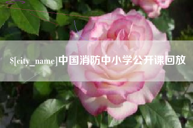 日喀则中国消防中小学公开课回放