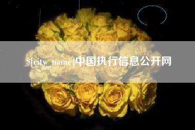 日喀则中国执行信息公开网