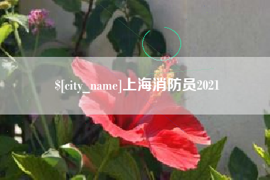 日喀则上海消防员2021