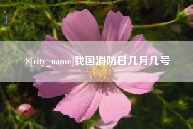 日喀则我国消防日几月几号