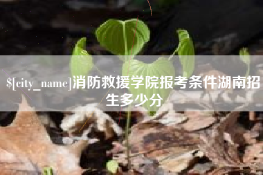 日喀则消防救援学院报考条件湖南招生多少分
