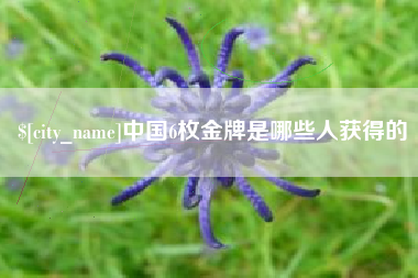 日喀则中国6枚金牌是哪些人获得的
