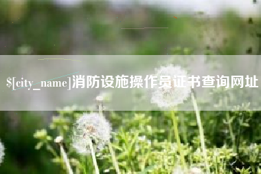 日喀则消防设施操作员证书查询网址