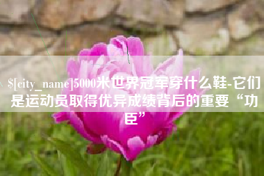 日喀则5000米世界冠军穿什么鞋-它们是运动员取得优异成绩背后的重要“功臣”