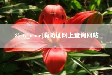 日喀则消防证网上查询网站
