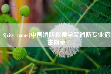 日喀则中国消防救援学院消防专业招生简章