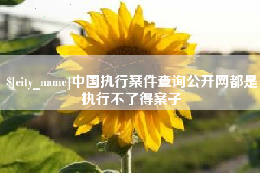 日喀则中国执行案件查询公开网都是执行不了得案子