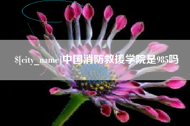 日喀则中国消防救援学院是985吗