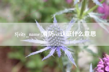 日喀则消防ccc认证什么意思