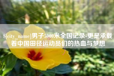 日喀则男子5000米全国记录-更是承载着中国田径运动员们的热血与梦想