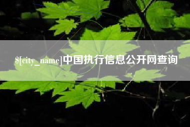 日喀则中国执行信息公开网查询