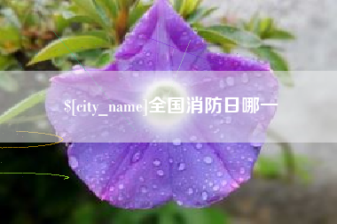 日喀则全国消防日哪一