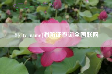日喀则消防证查询全国联网