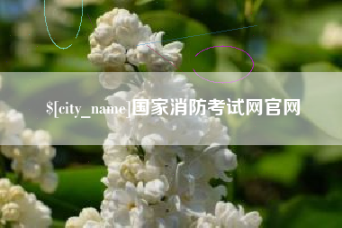 日喀则国家消防考试网官网
