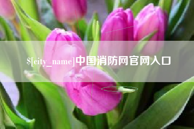 日喀则中国消防网官网入口