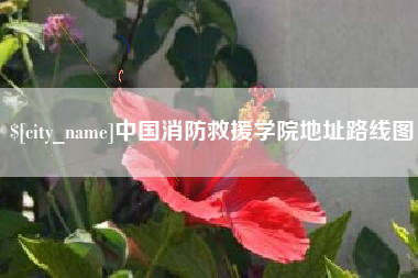 日喀则中国消防救援学院地址路线图