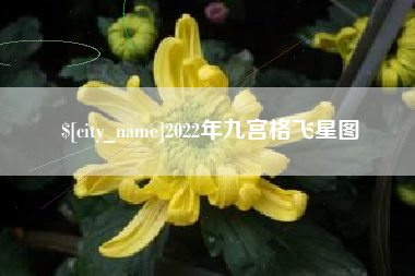日喀则2022年九宫格飞星图