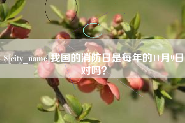 日喀则我国的消防日是每年的11月9日对吗？