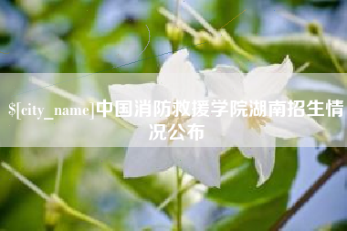 日喀则中国消防救援学院湖南招生情况公布