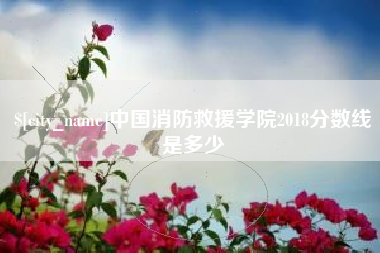 日喀则中国消防救援学院2018分数线是多少
