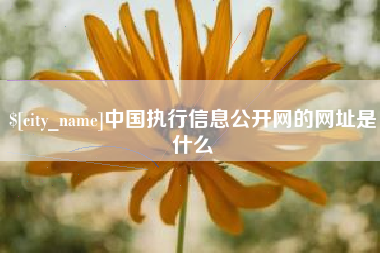 日喀则中国执行信息公开网的网址是什么