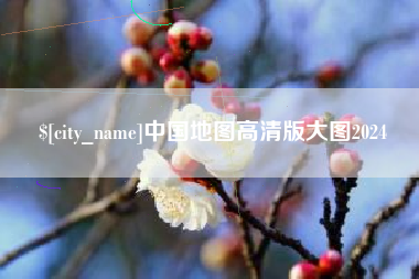 日喀则中国地图高清版大图2024
